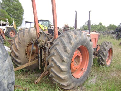 Same Leonne - GT2194