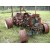 John Deere 5400 - GT2198-pic1