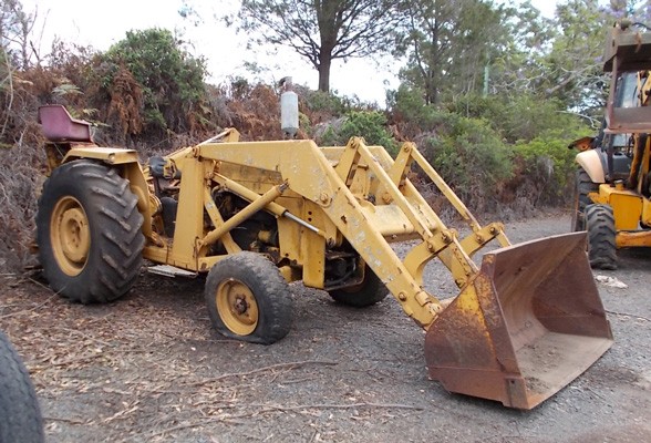 MF 50A 4.203 - GT2384