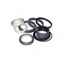 Seal Kits for Rams